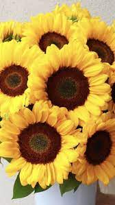 Wholesale Flowers Wholesale Flowers Fall Flower Arrangements Fall Flowers