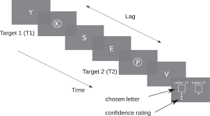As soon as you realize that you can't make a court date, you should immediately call the court clerk to talk about. Temporal Attention Causes Systematic Biases In Visual Confidence Scientific Reports