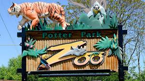 Being the world's largest natural habitat zoo means the animals here have plenty of room to roam. Potter Park Zoo Prepares To Open To The Public After Covid 19 Shutdown