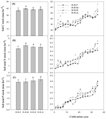Maybe you would like to learn more about one of these? Agronomy Free Full Text Long Term Green Manure Rotations Improve Soil Biochemical Properties Yield Sustainability And Nutrient Balances In Acidic Paddy Soil Under A Rice Based Cropping System