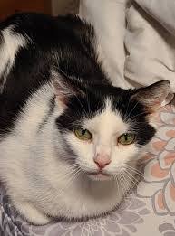 Ginger Zeller's Instagram, Twitter & Facebook