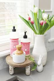 under kitchen sink organizers and
