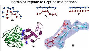Top 5 best carbon monoxide detector review in 2021. The Proteomic Code A Molecular Recognition Code For Proteins Springerlink