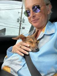 Montego Bay Animal Haven added...