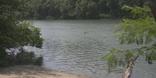 Rainfall spells some drought relief for Albemarle County