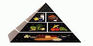 What Is The Best Food Pyramid Chart For Kids Whyienjoy