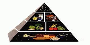 what is the best food pyramid chart for kids whyienjoy