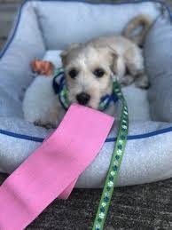You can see how to get to sugar land pet hospital on our website. Houston Animal Hospital 22 Photos 32 Reviews Veterinarians 11629 S Hwy 6 Sugar Land Tx Phone Number Yelp