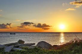 Maybe you would like to learn more about one of these? 5 Best Beaches In New Orleans What Is The Most Popular Beach In New Orleans Go Guides