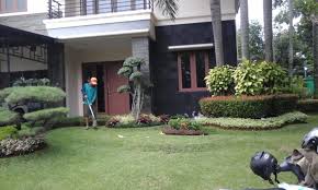 Maybe you would like to learn more about one of these? Tukang Taman Jakarta Tips Merawat Rumput Jepang Saat Musim Kemarau Tukang Taman Jakarta