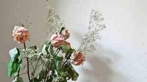 Flower delivery near me is closer than you think. 1 800 Flowers Allegedly Shipped Moms Dead Flowers Air