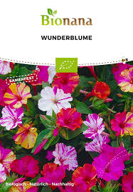 Проверьте 'wunderblume' перевод на английский. Bio Wunderblume Kaufen Bionana