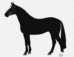 ربع ملعقة كبيرة من الخل. Ø­ØµØ§Ù† Ø¹Ø±Ø¨ÙŠ Ø£Ù…Ø±ÙŠÙƒÙŠ Ø­ØµØ§Ù† ØµØºÙŠØ± Ø£Ù…Ø±ÙŠÙƒÙŠ Ø­ØµØ§Ù† Ø±Ø¨Ø¹ Ø­ØµØ§Ù† ØªØ±Ø¬Ù…Ø© Ø­Ø±ÙÙŠØ© Ø®ÙŠØ§Ù„ Ø§Ù„Ø­ØµØ§Ù† Ø§Ù„Ø«Ø¯ÙŠÙŠØ§Øª Png
