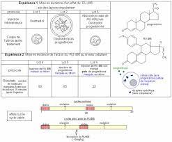 Mode d'action — aktionsart le terme d origine allemande aktionsart. Mode D Action Du Ru486 Superprof
