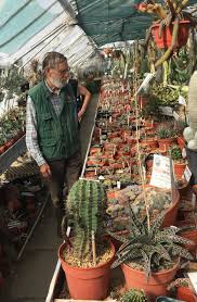 Maybe you would like to learn more about one of these? Episode 115 Living Stones Aka Lithops Jane Perrone