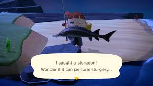 New horizons islanders can follow these simple tips to search their island's with rare beauties like the coelacanth only appearing in rain, players may worry that the ocean sunfish much like its name suggests, the ocean sunfish is only found in the ocean. Psa Here S All The Fish Leaving Animal Crossing New Horizons Soon