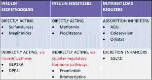 Simple Chart Explains Medications For Diabetes Treatment