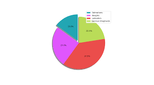 Easy How Many People In The Pie Chart Dailyprogrammer_ideas