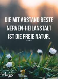 Spruchesammlung Natur Auszeit Bio Auszeitbio Spruche Natur Ernstferst Gesundheit Spruche Natur Zitate Natur Spruche Gluck