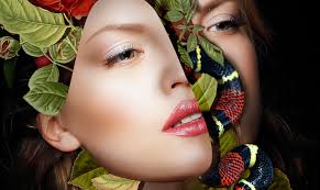 Illustrator Portfolios