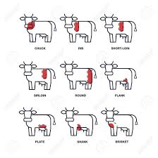 Cut Of Meat Set Poster Butcher Diagram And Scheme Cow American