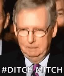 The turtle won the race again. Mitch Mcconnel Turtle Gifs Tenor