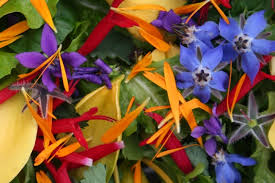 Order flowers online anytime of the day; Edible Flowers Organic Gardener Magazine Australia