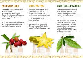 Image result for Anisophyllea quangensis