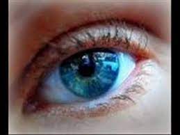 Pin On Bobby Goldsboro