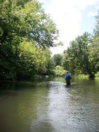 Tennessee Fly Fishing Duck River July 2012