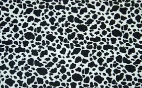 Check spelling or type a new query. Free Download Cow Print Border 1600x1200 For Your Desktop Mobile Tablet Explore 48 Brown Cow Print Wallpaper Dairy Cow Wallpaper Cow Pattern Wallpaper Cow Wallpaper For Kitchen