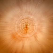 Spending hours in zoom these days? Explosion Zoom Wood Grain Zoom Effect Focus Magnification Annual Rings Pattern Background Pxfuel