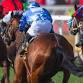 Evening Racing event image