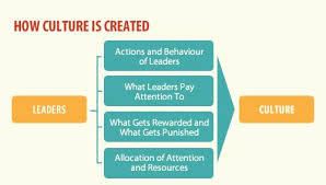 How To Diagnosing Organizational Culture Chart Google