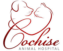 The cost of a pet insurance policy can vary by breed zip code and another factors. Pet Insurance In Bisbee Az Cochise Animal Hospital