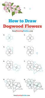 Learn the fundamentals of drawing in this online course. Learn How To Draw Dogwood Flowers Easy Step By Step Drawing Tutorial For Kids And Beginner Easy Flower Drawings Flower Drawing Tutorials Drawing Tutorial Easy