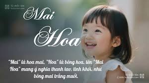 Tên Mai Hoa: Ý nghĩa, Phân tích, Phong thủy và Thần số học