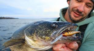 Virginia Walleye Fishing