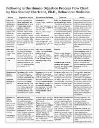 pdf human digestion process flow chart