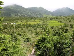 Image result for Hakkoda Walk