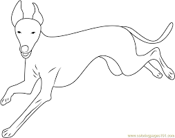Working dogs are used to rescue, guard, pull and haul. Italian Greyhound Running Coloring Page For Kids Free Dog Printable Coloring Pages Online For Kids Coloringpages101 Com Coloring Pages For Kids