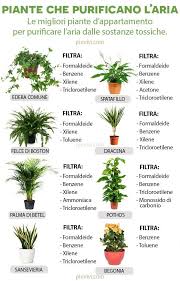Trova una vasta selezione di piante da interno tropicale a prezzi vantaggiosi su ebay. Pin Su Casa E Giardinaggio