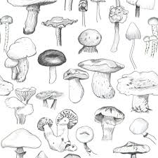 Black And White Mushroom Wallpaper Colorful Fabrics Digitally Printed By Spoonflower The Mushroom Gang In 2020 Botanical Wallpaper Drawing Projects Stuffed Mushrooms