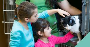 If you have any questions or would like to adopt johnny and june, please reach out to the adoption group directly. Adopt A Pet Save A Life Metrovet Vets In Wood Green London