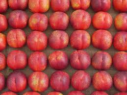 Last names originated when people needed to be referred to more specifically than simply by their first names. Most Common Last Names In The World