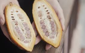 L'assegnazione si basa sulle caratteristiche fisiche di taglia, peso, colore della pelle, degli occhi e dei capelli. Come Funziona Il Mercato Del Cacao Dissapore
