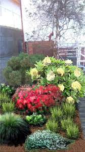 Fotoblogy Profesionalove Azaleas Sedum Plants
