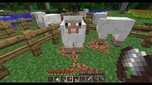 The same sheep can be sheared again after it eats from a grass block to regenerate its wool. Minecraft How To Make Shears And Shear Sheep Youtube