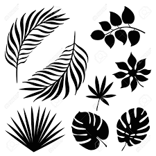 Free palm leaf silhouette vector download in ai, svg, eps and cdr. Tropical Palm Leaves Silhouette Set Royalty Free Cliparts Vectors And Stock Illustration Image 97353452