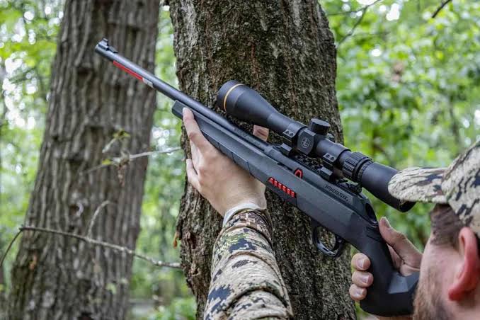 Early Season Tactics & Gear for Squirrel Hunting - Game & Fish